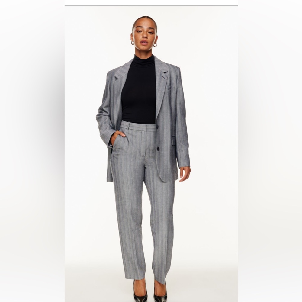 Aritzia Babaton Command Pant Size 8 Gray